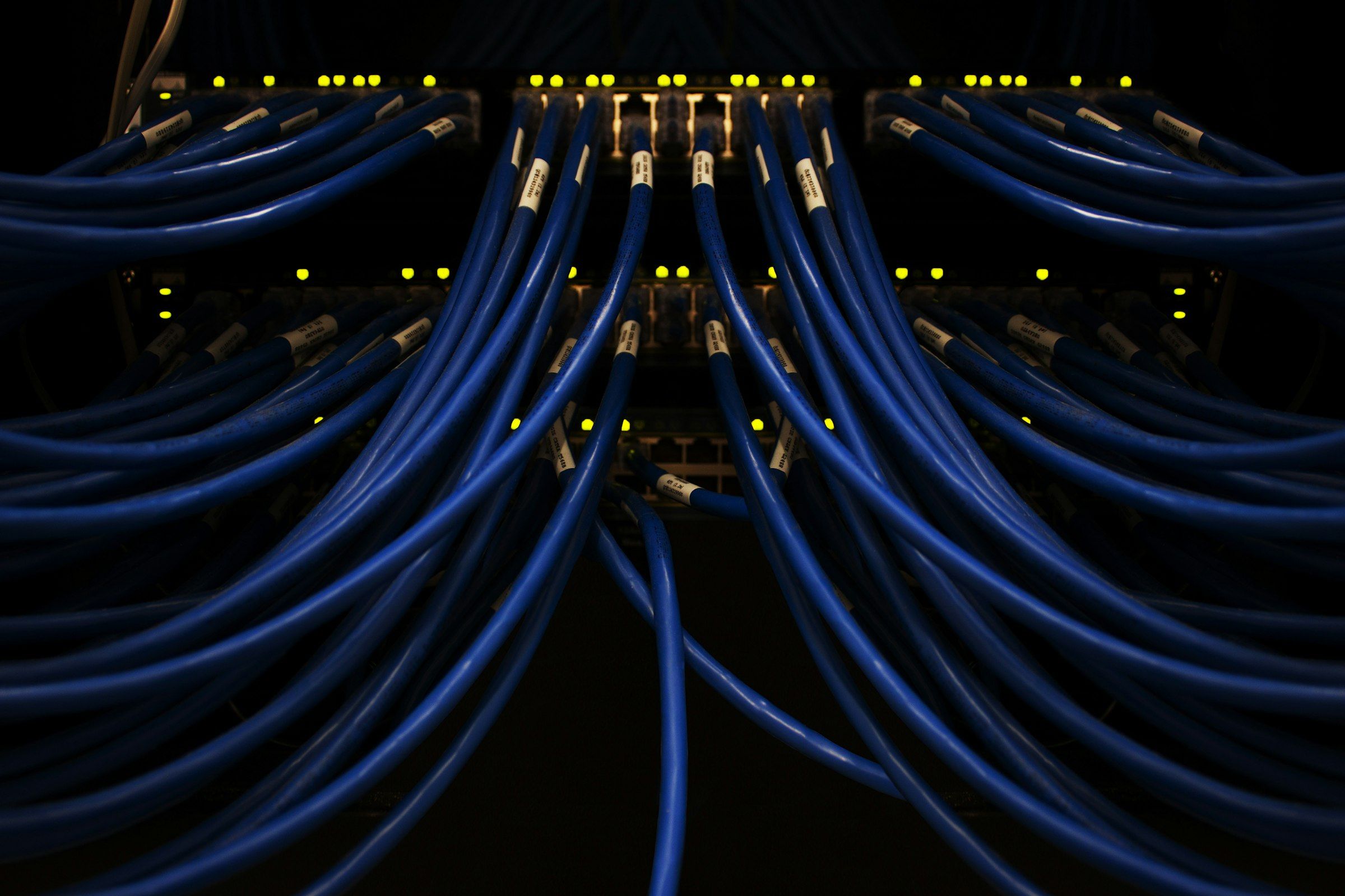Bundles of blue network cables plugged into switch ports with glowing status LEDs in the dark